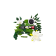 Splat Special Чорний Лотос зубна паста 75 мл